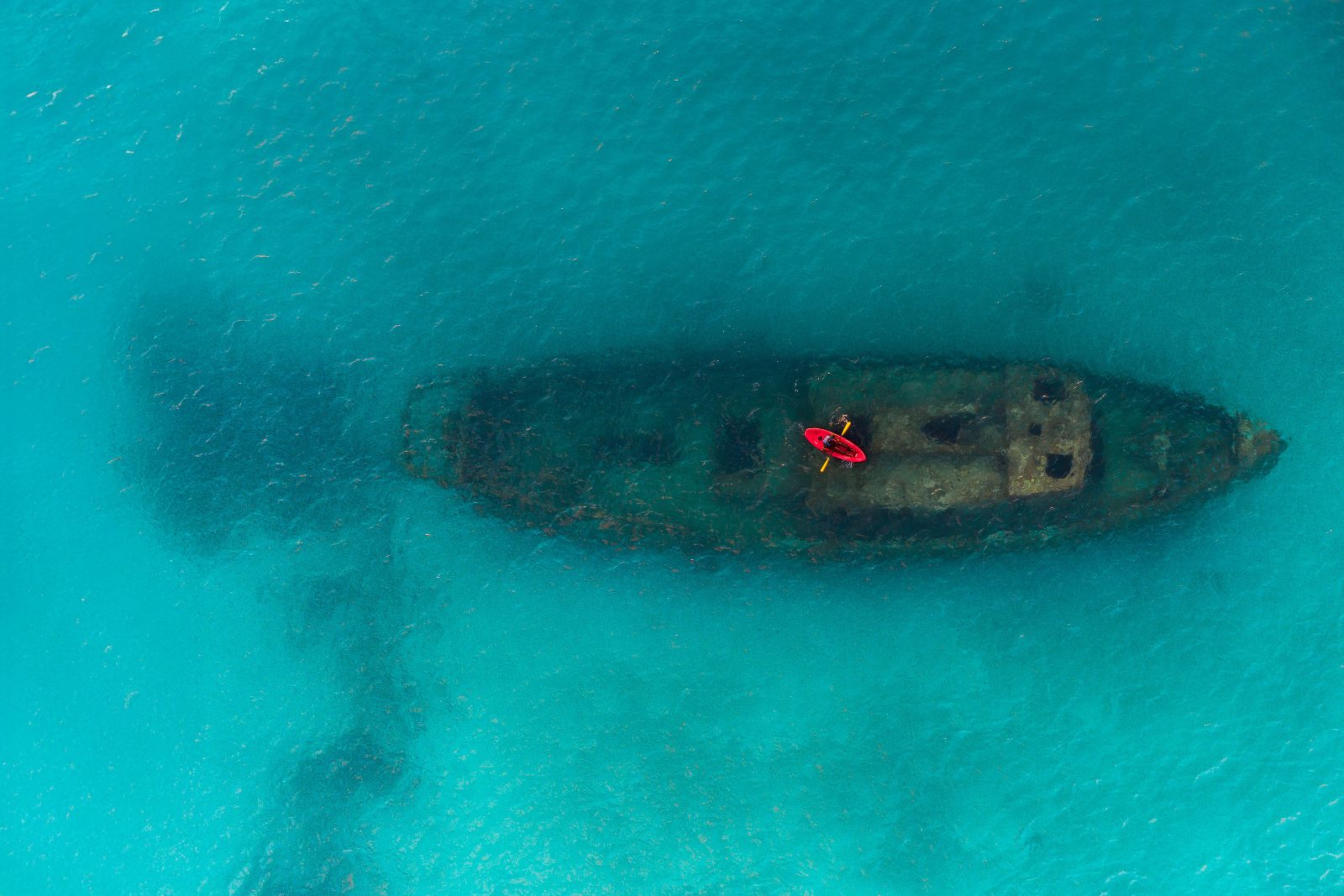 Catamaran Cruise Barbados Experience
