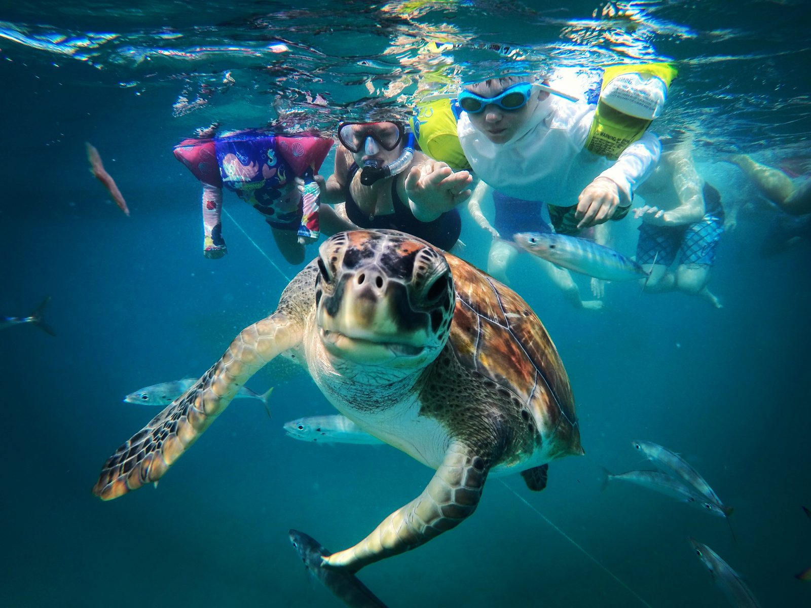 Your experience at Catamaran Cruise Barbados