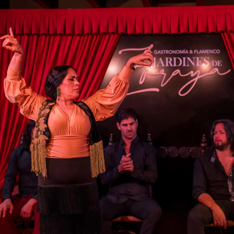 Albaicin Flamenco Show