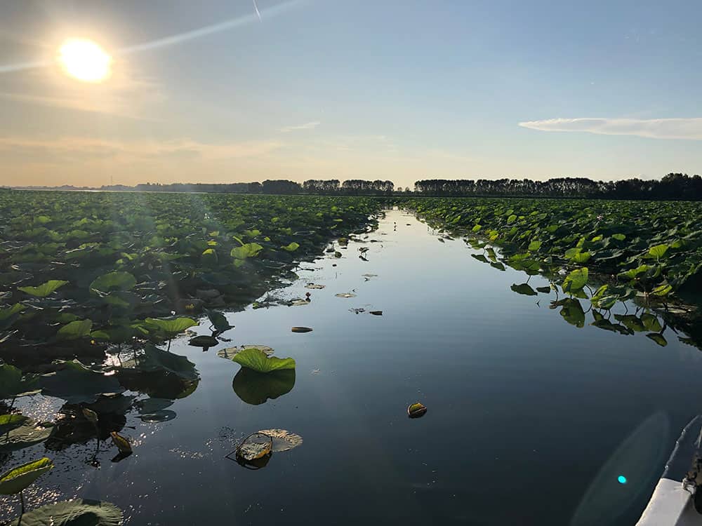 Your experience at Mantua Boat Tour
