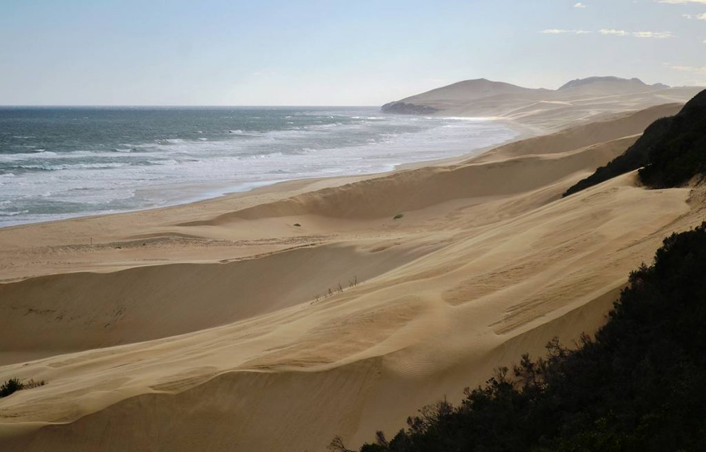 Alexandria Dune Fields
