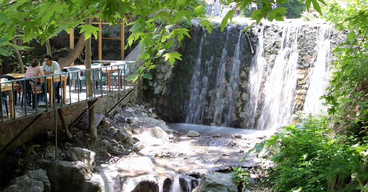 Your experience at Sapanca and Masukiye Tour From Istanbul