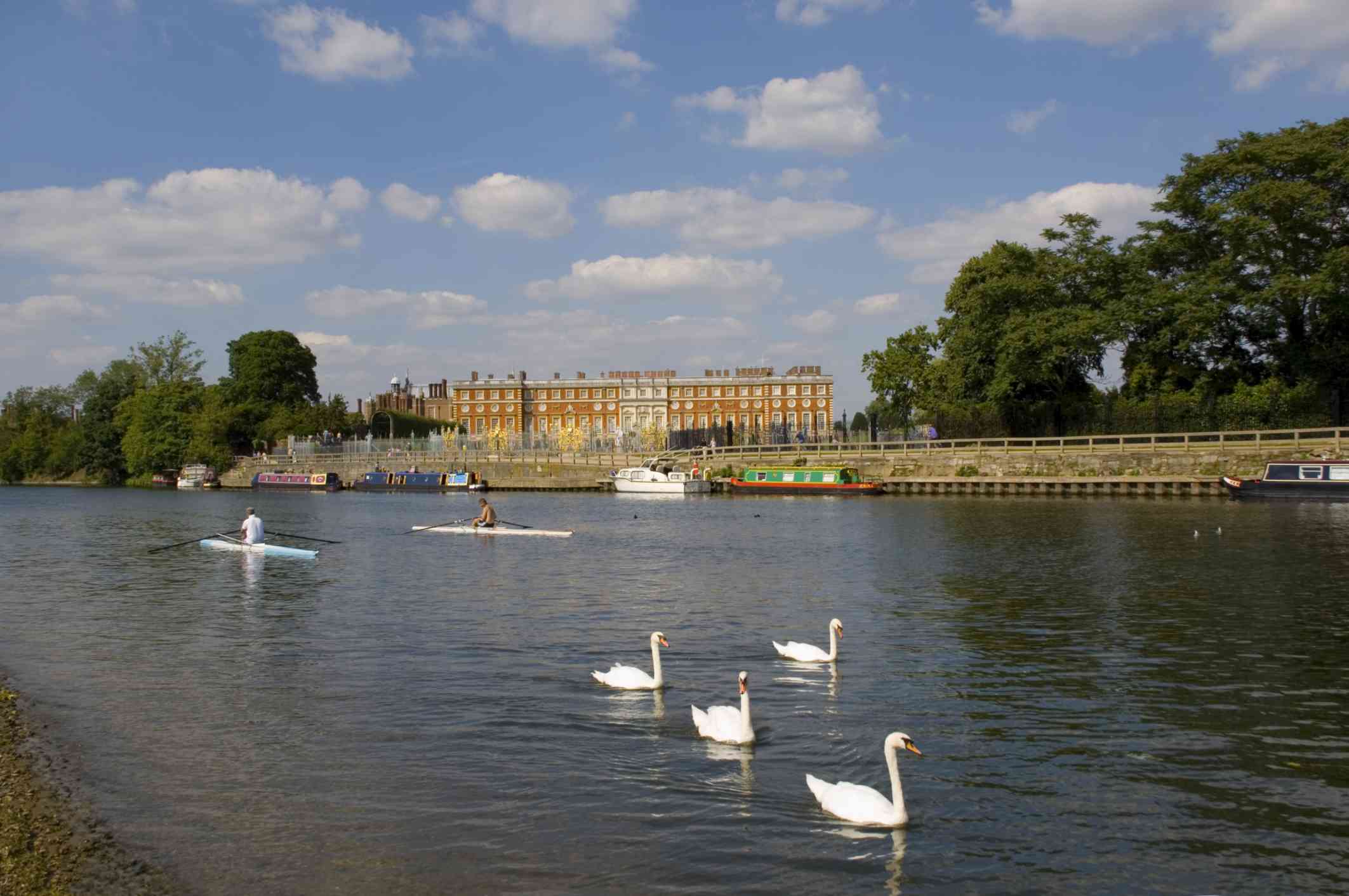 Thames River Cruise to Hampton Court Overview