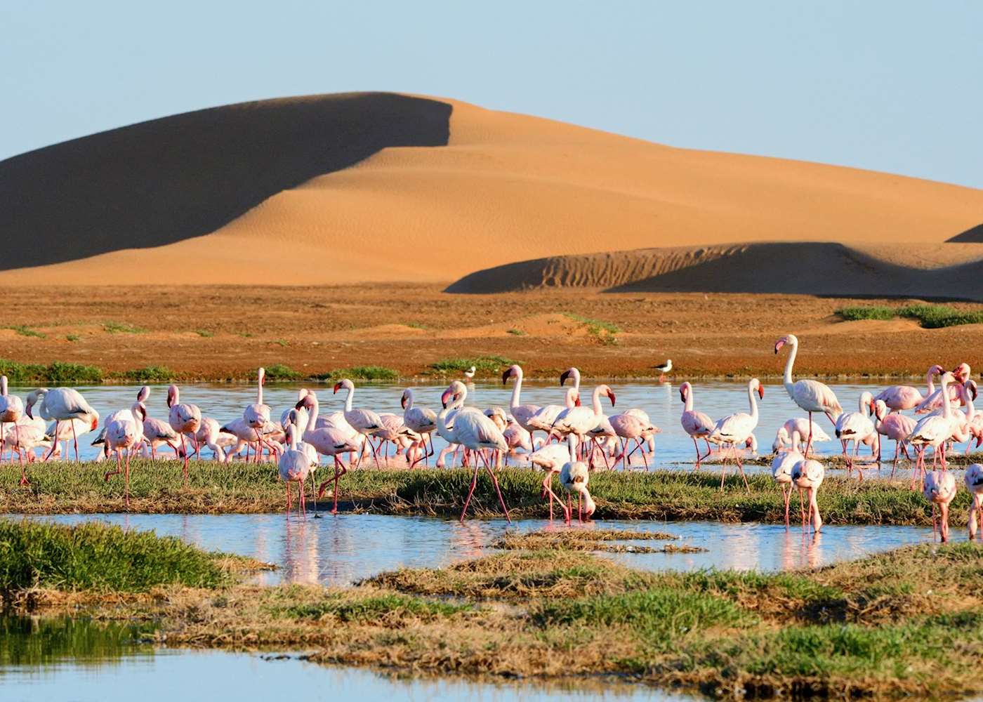Walvis Bay Lagoon