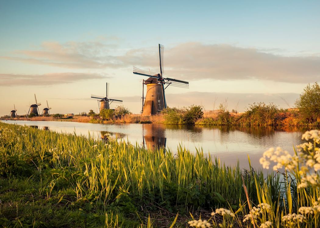 Waterbus to Kinderdijk: Direct Access