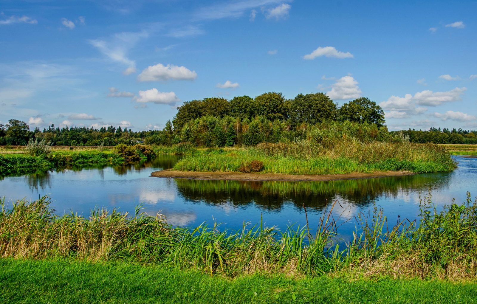 Explore Biesbosch National Park by Boat Cruise