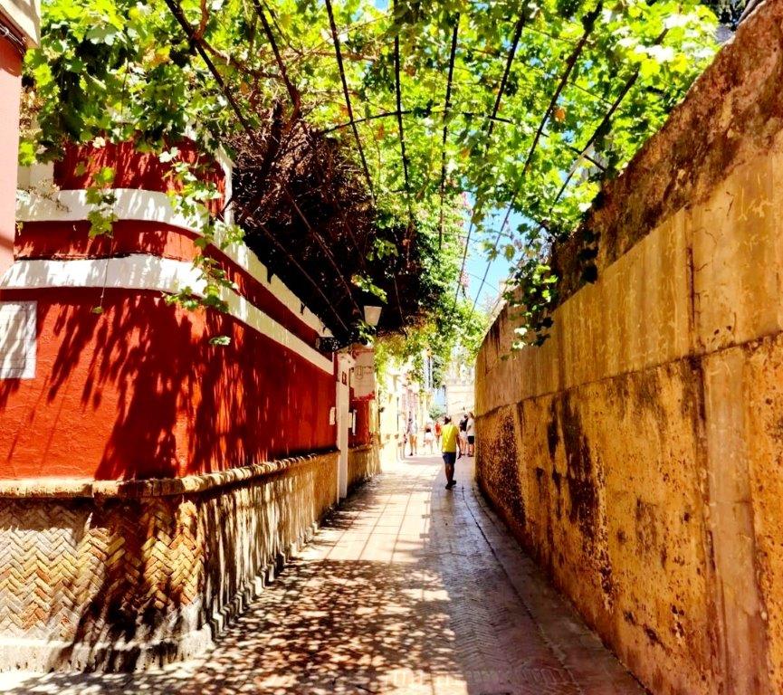 Seville Jewish Quarter Walking Tour