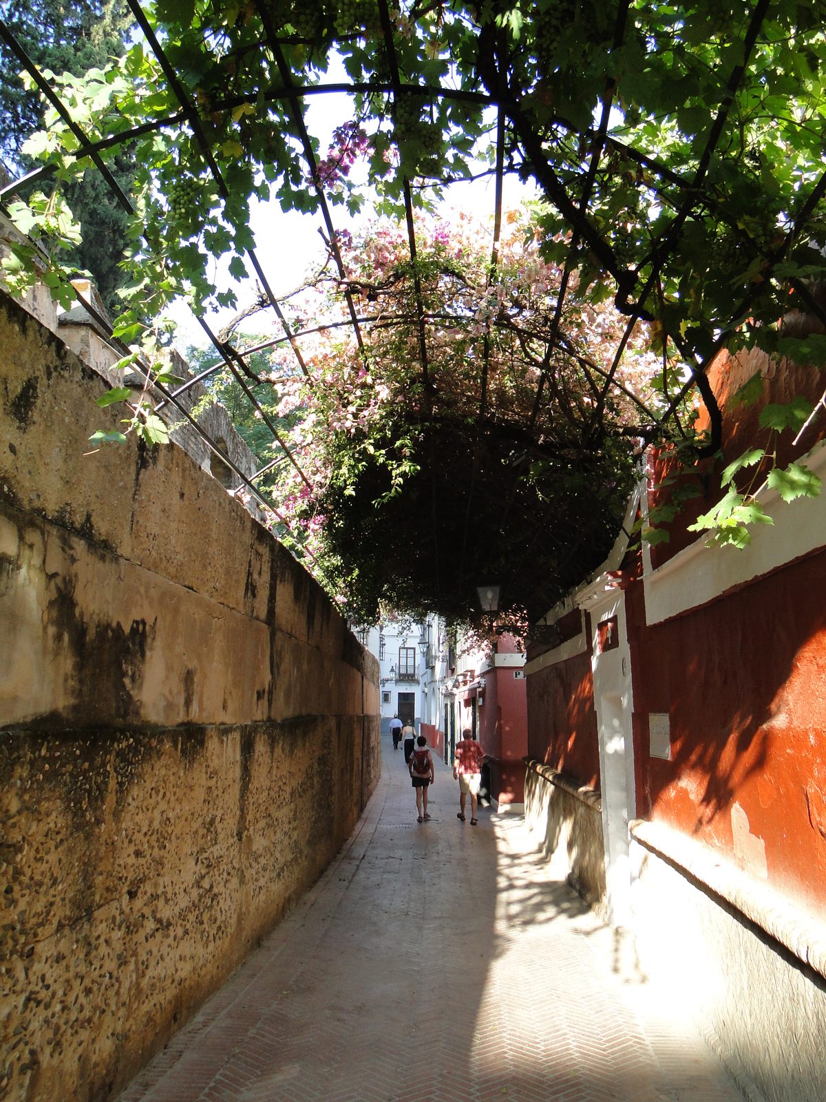 Your experience at Seville Jewish Quarter Walking Tour