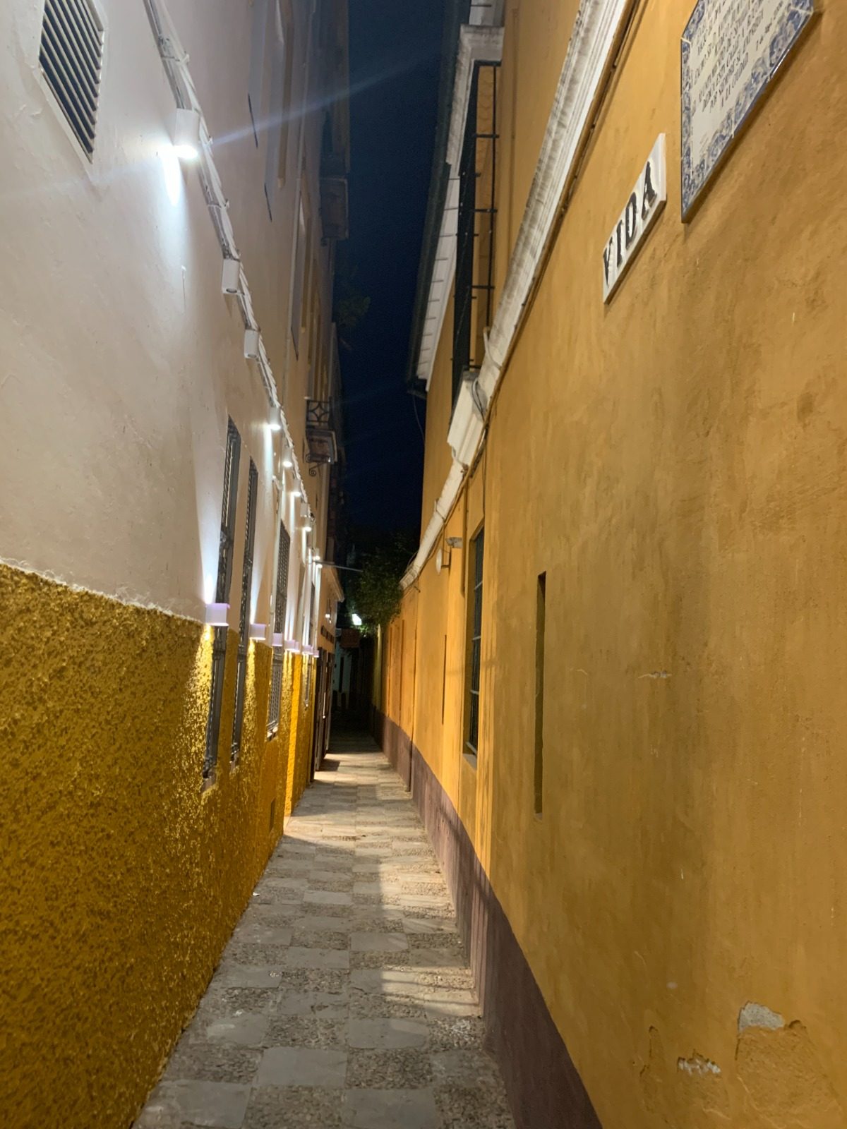 Calle Vida