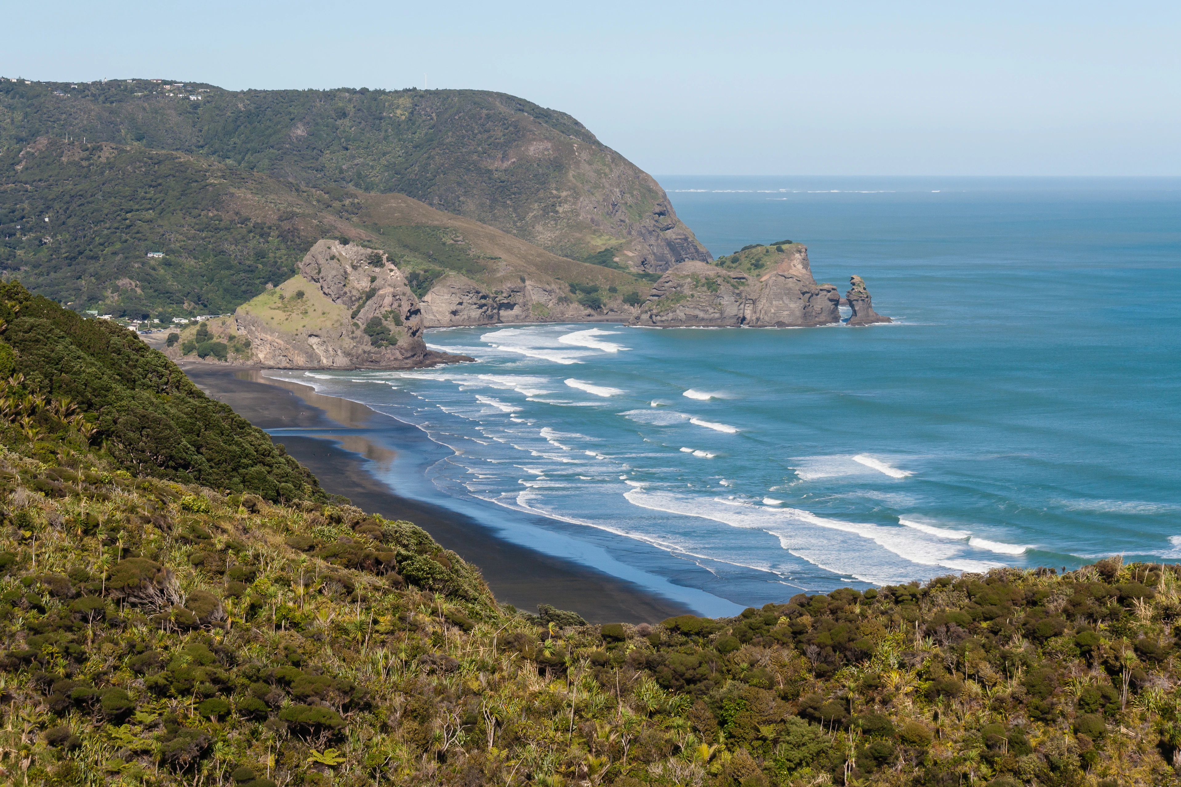 Auckland West Coast Tour