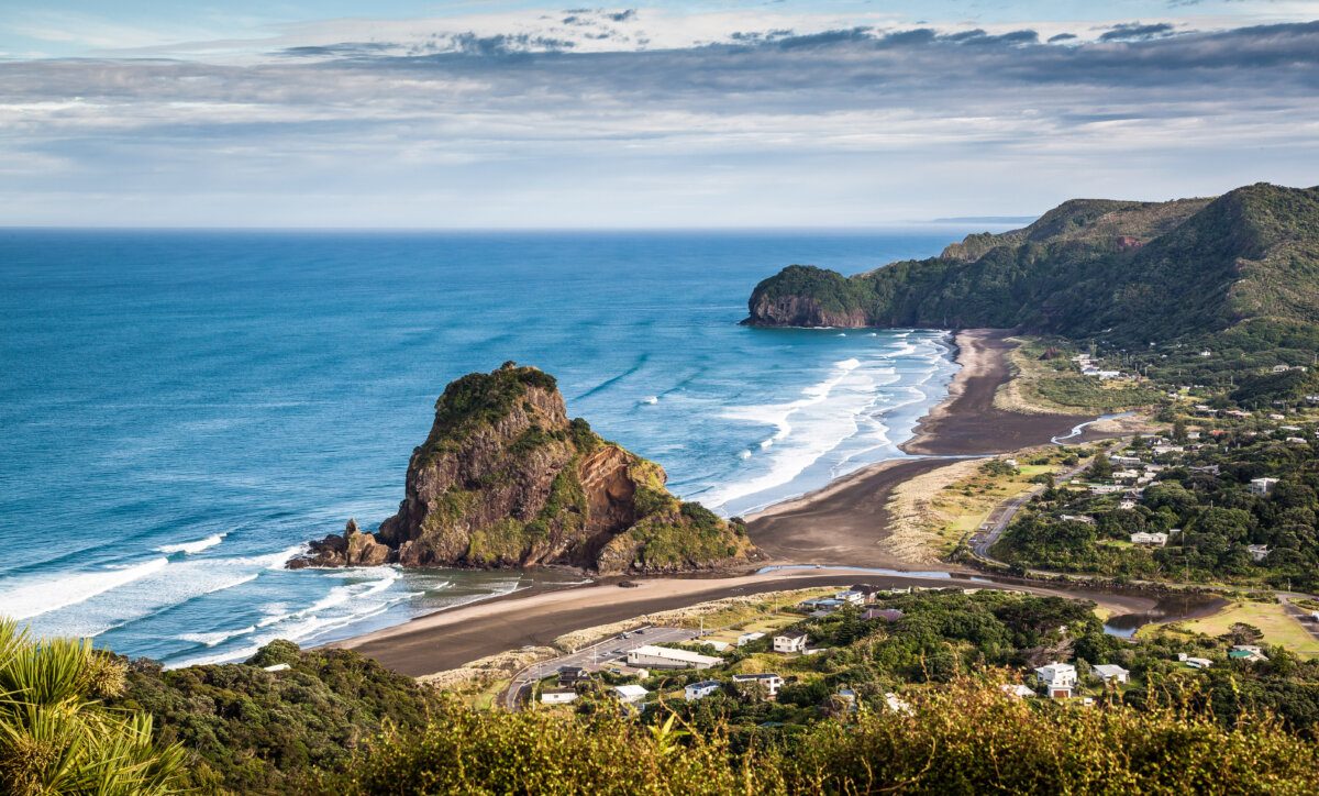 Your experience at Auckland West Coast Tour