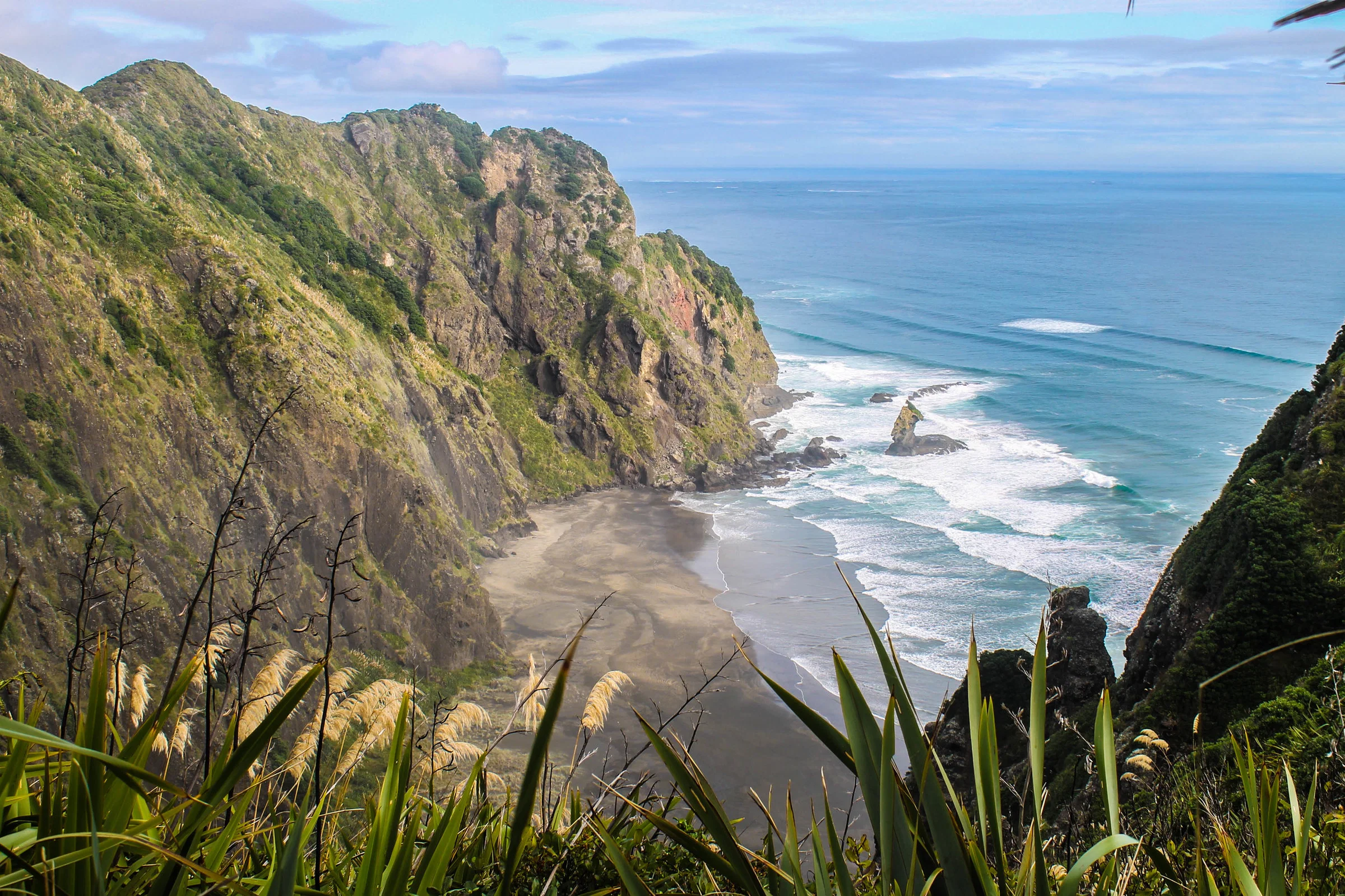 Mercer Bay Loop