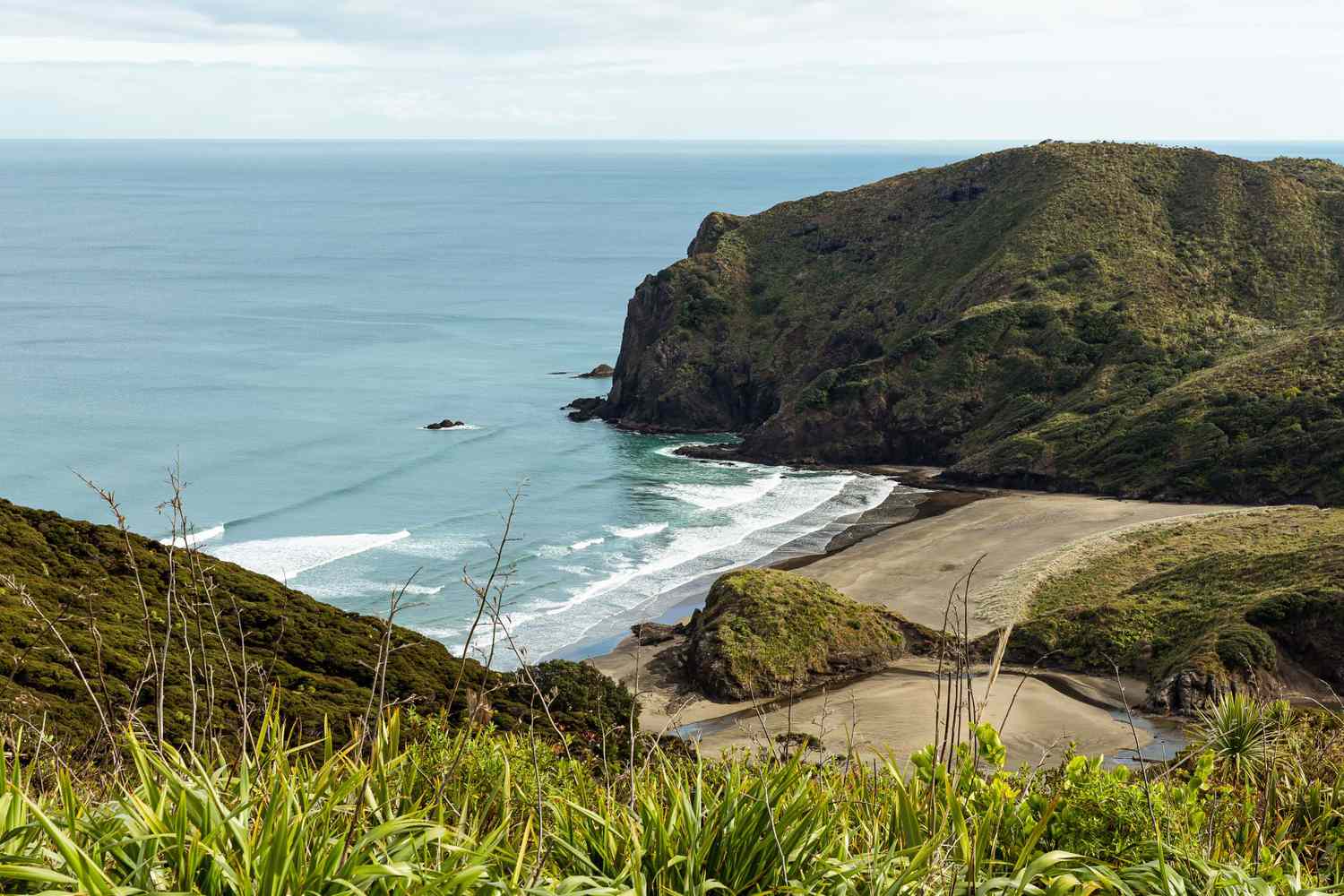 Auckland West Coast Tour Experience