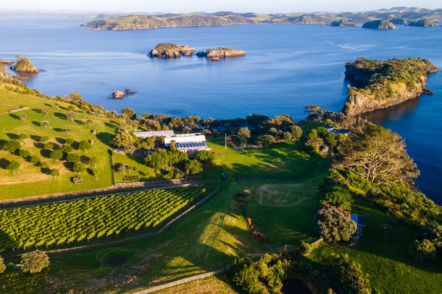 Bay of Islands Wine Tours Overview
