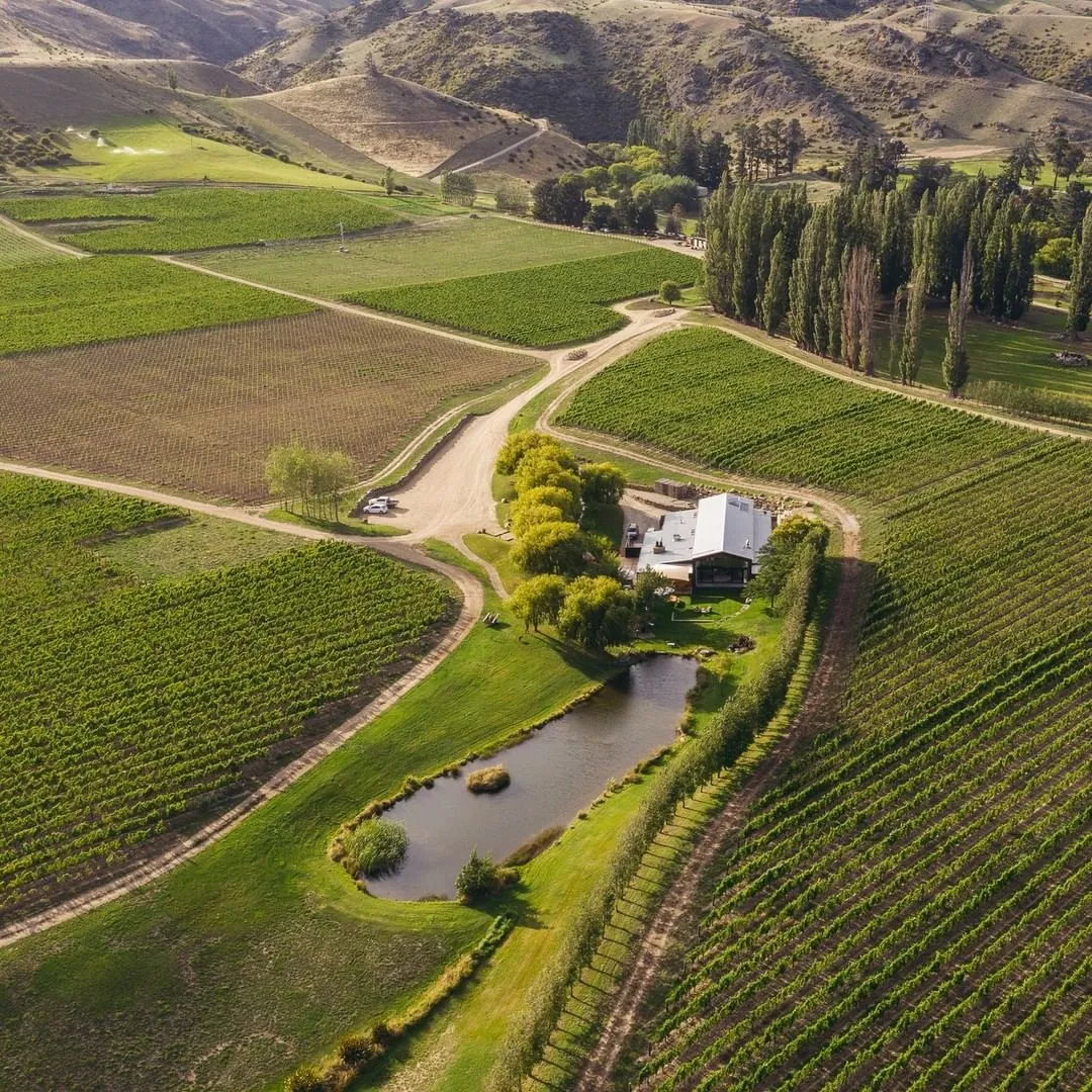 Your experience at Bay of Islands Wine Tours