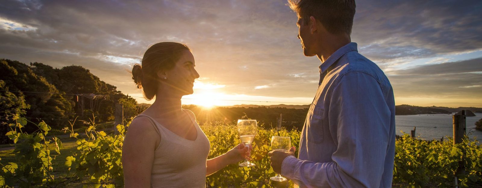 Bay of Islands Wine Tours