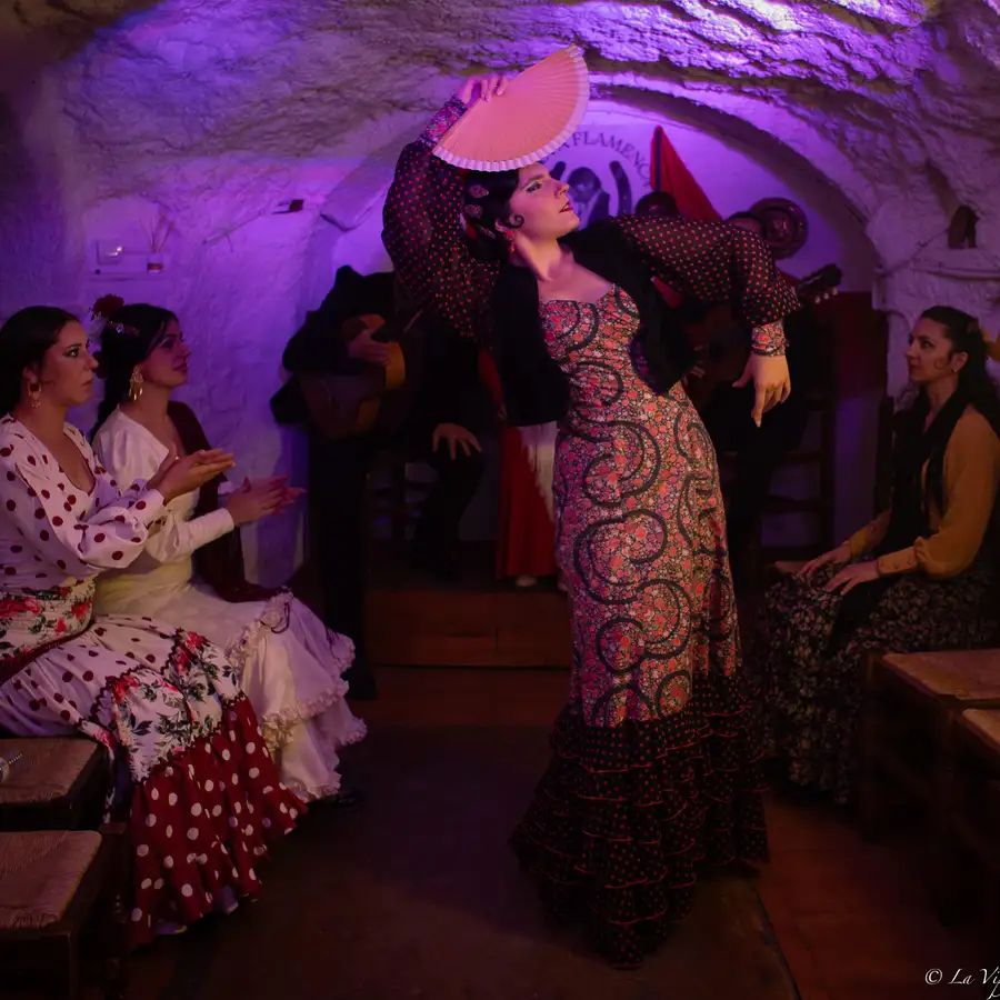 Sacromonte Caves Flamenco Show