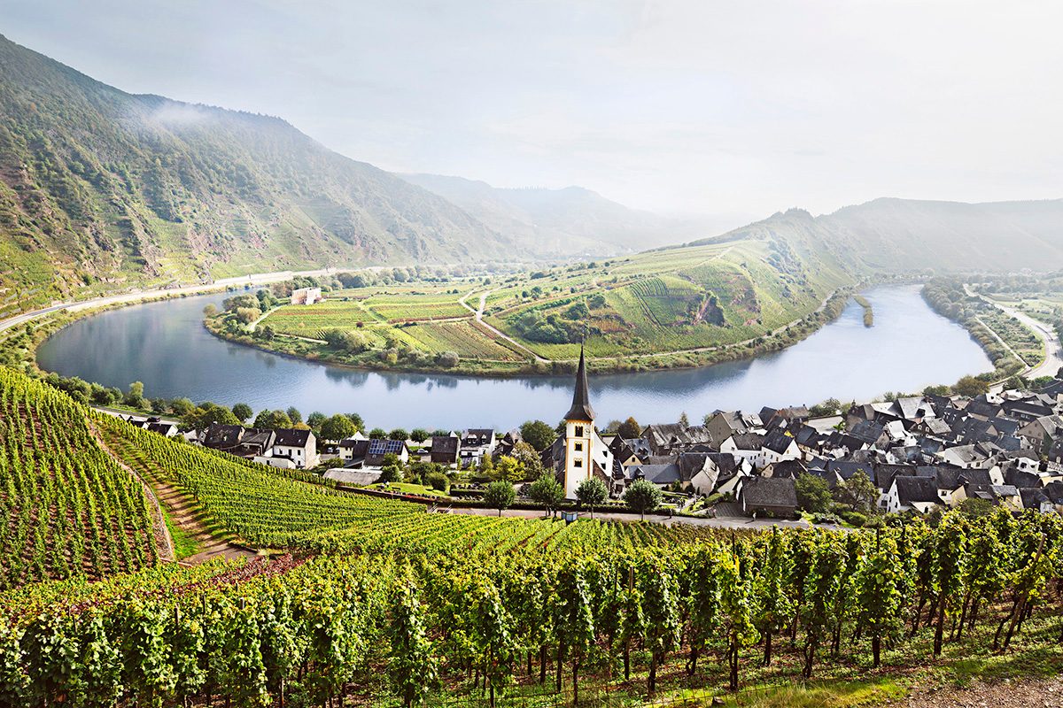 Vineyard Terraces