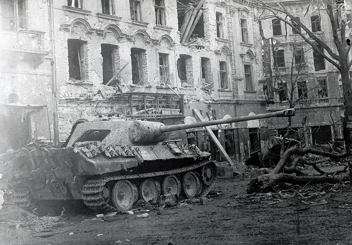 Wwii Siege of Buda Castle and Bomb Shelter Tour