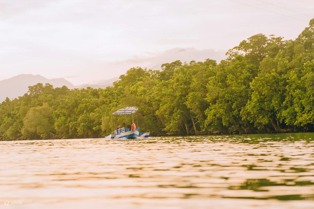 Mangrove Ecosystem