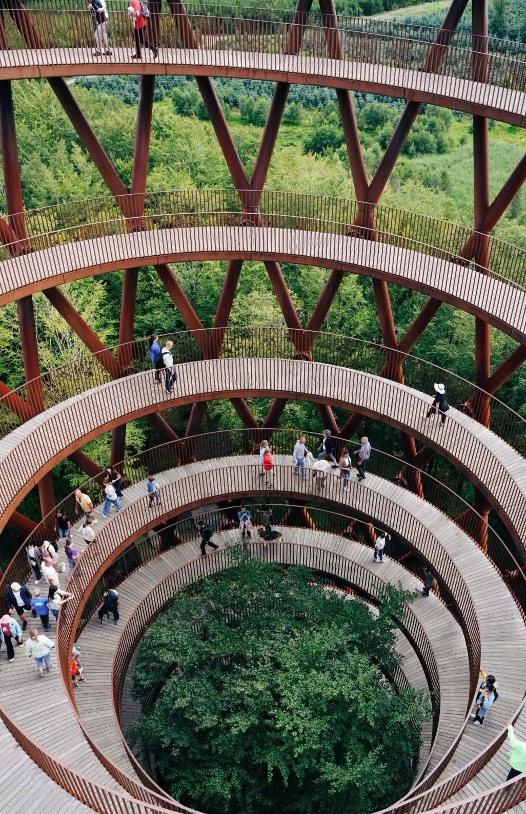 Your experience at Mons Klint and Forest Tower Tour
