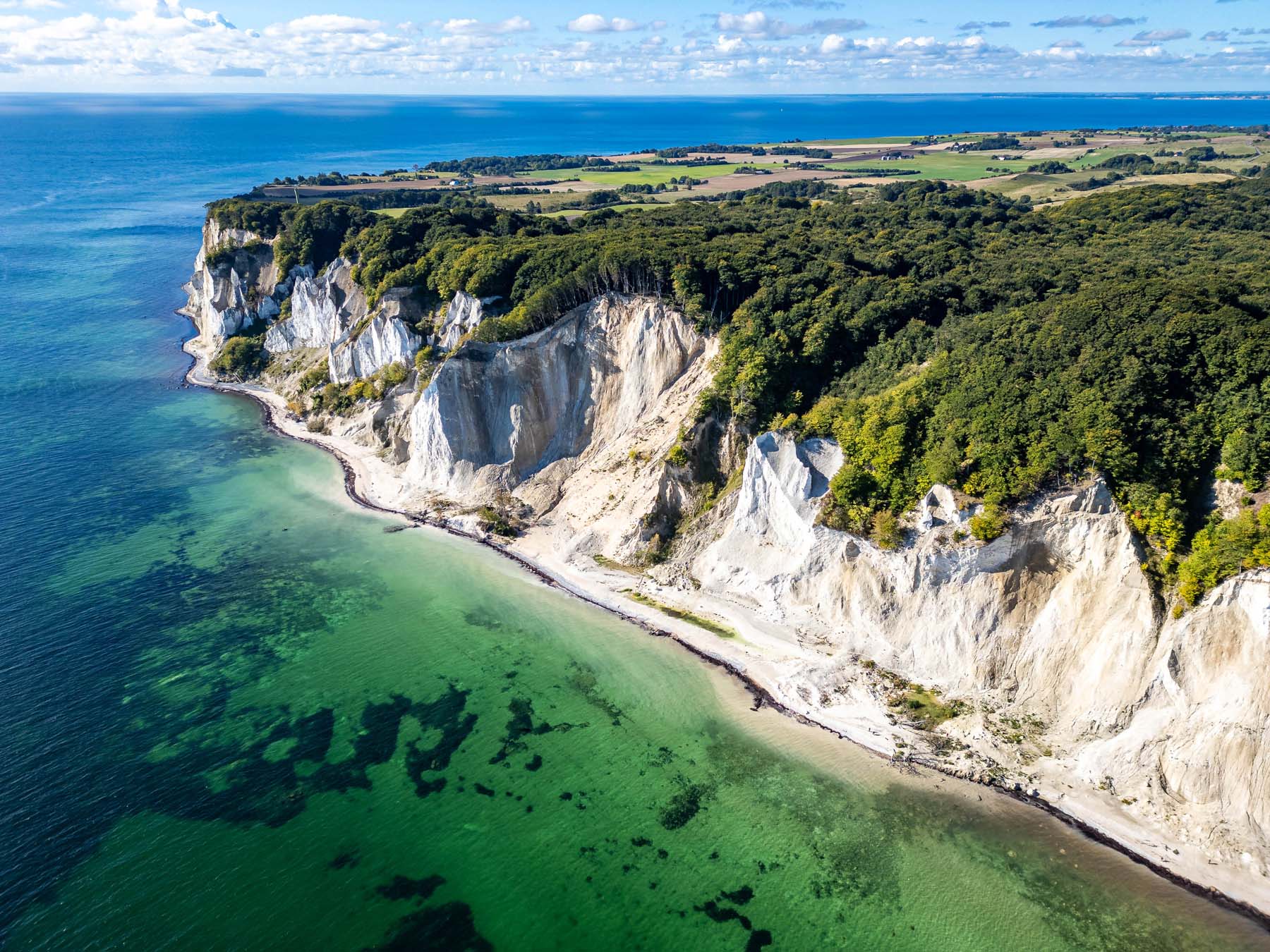 Mons Klint and Forest Tower Tour Experience