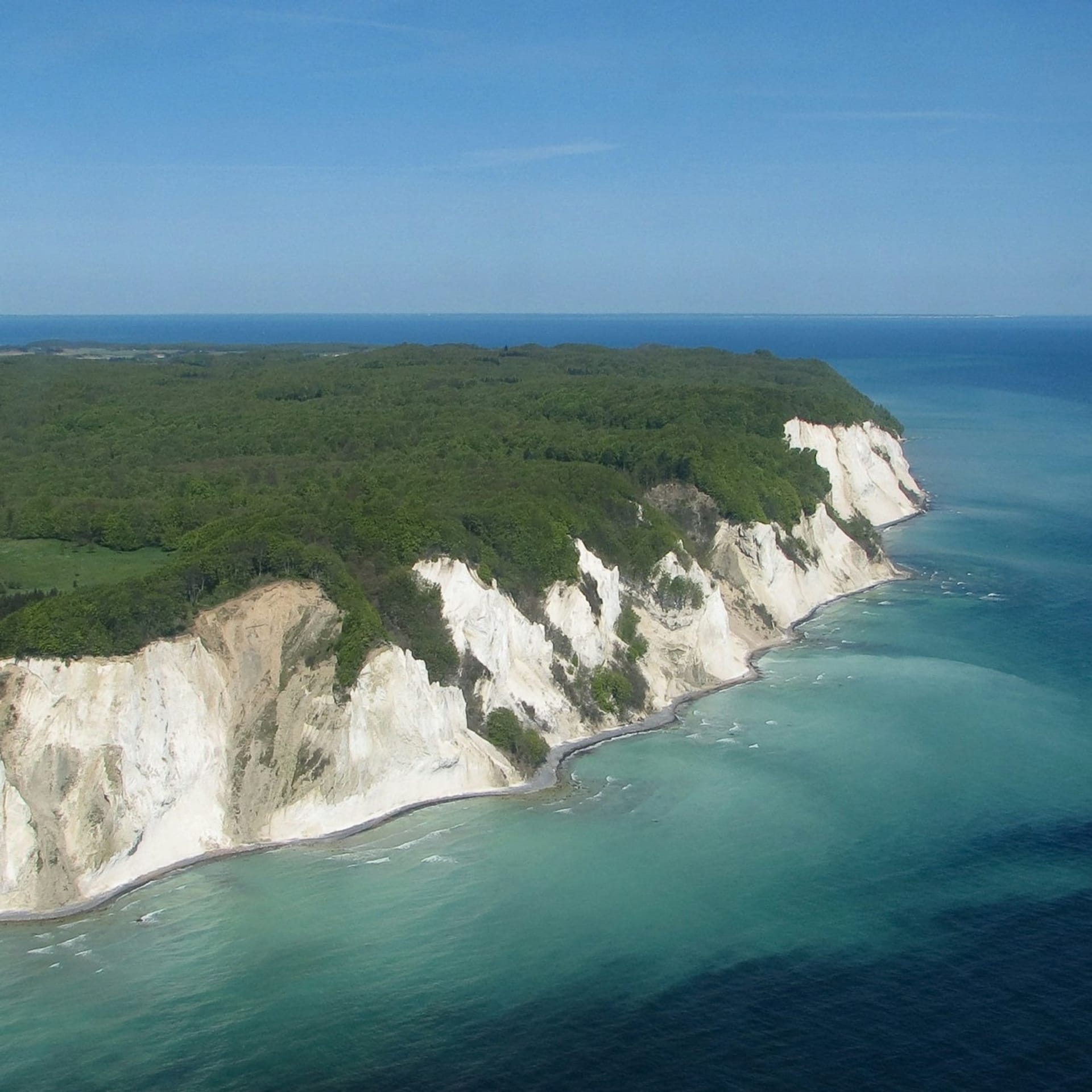 Mons Klint and Forest Tower Tour