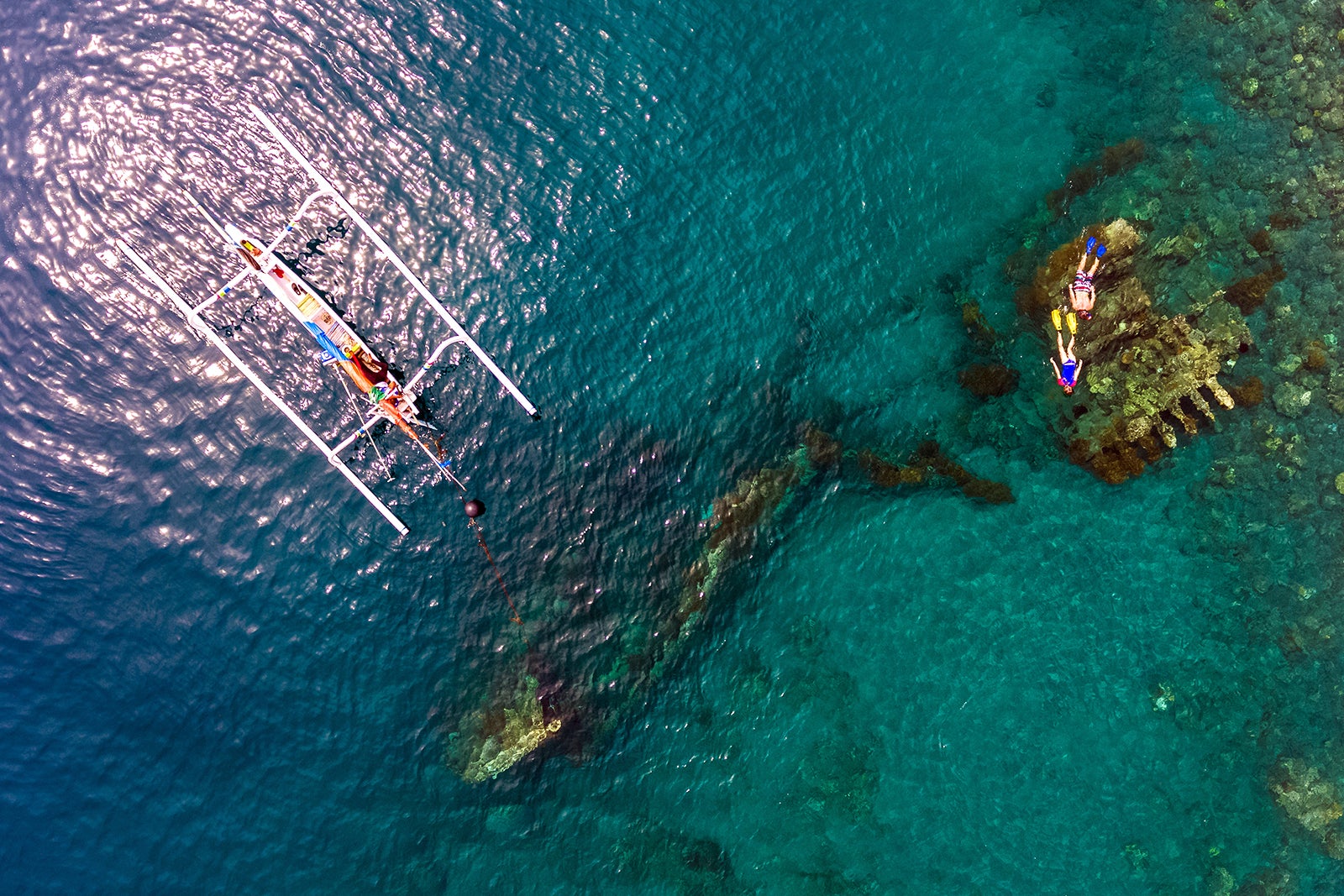 Your experience at Amed Snorkeling