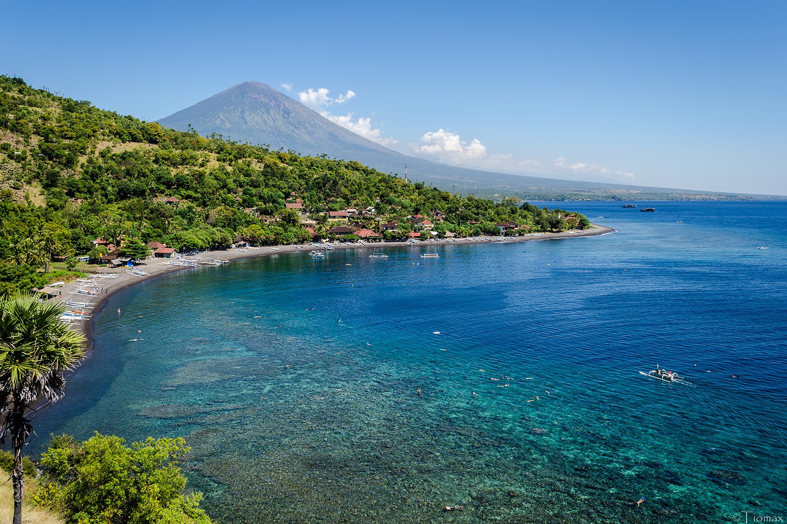 Jemeluk Bay Coral