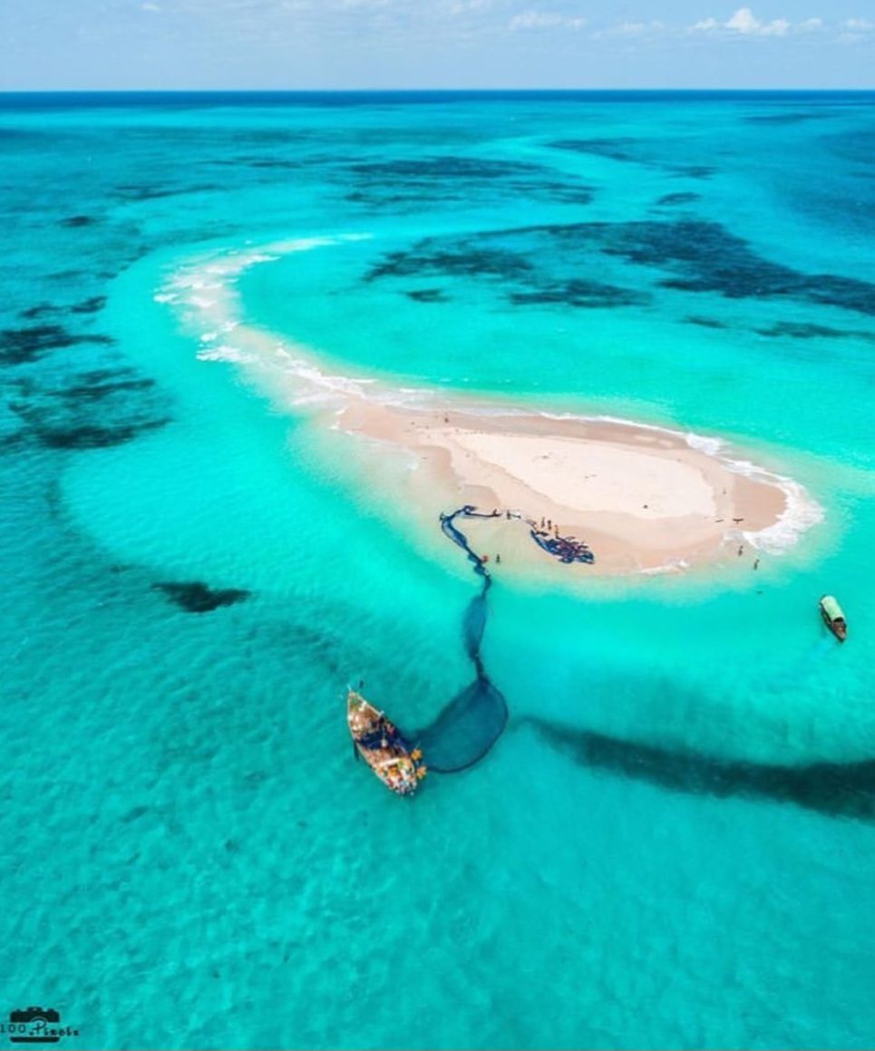 Safari Blue Zanzibar