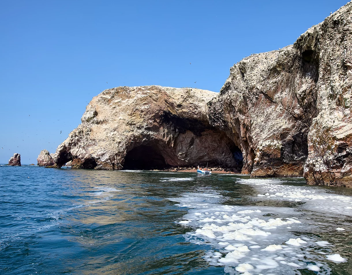 Ballestas Islands Boat Tour Overview