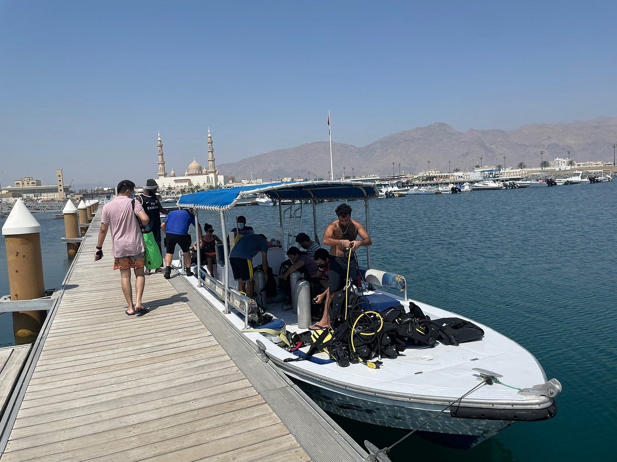 Scuba Diving in Fujairah