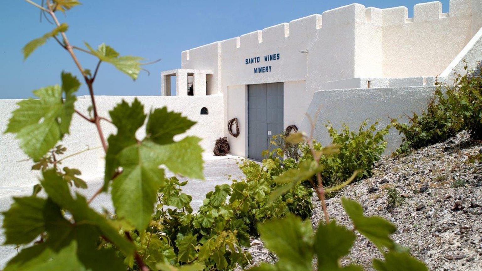 Wine Tasting in Santorini Experiences