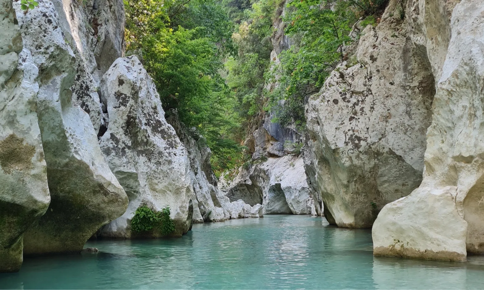Crystal Waters