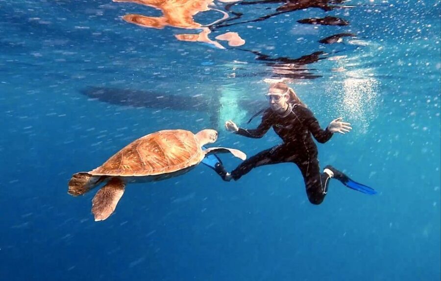 Abades Snorkeling