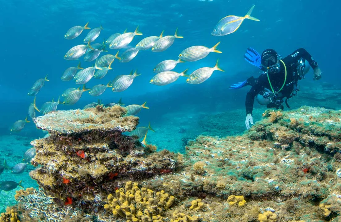 Abades Snorkeling in Tenerife's Volcanic Waters