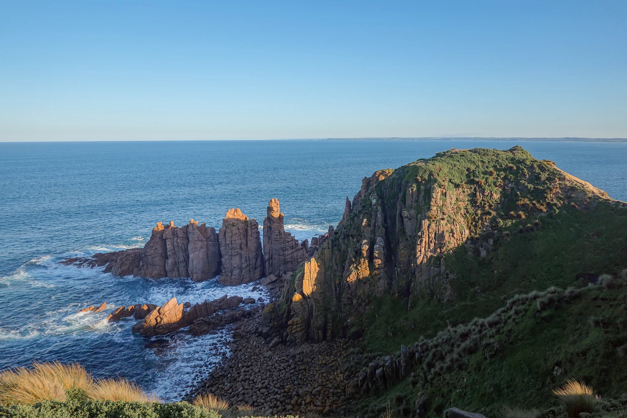 Cape Woolamai Cruise Wildlife Experience