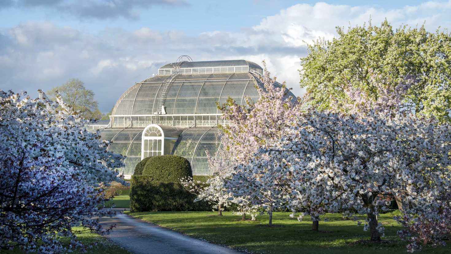 Royal Botanic Gardens
