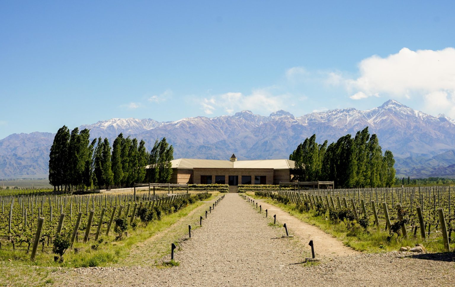 Private Wine Tours in Mendoza
