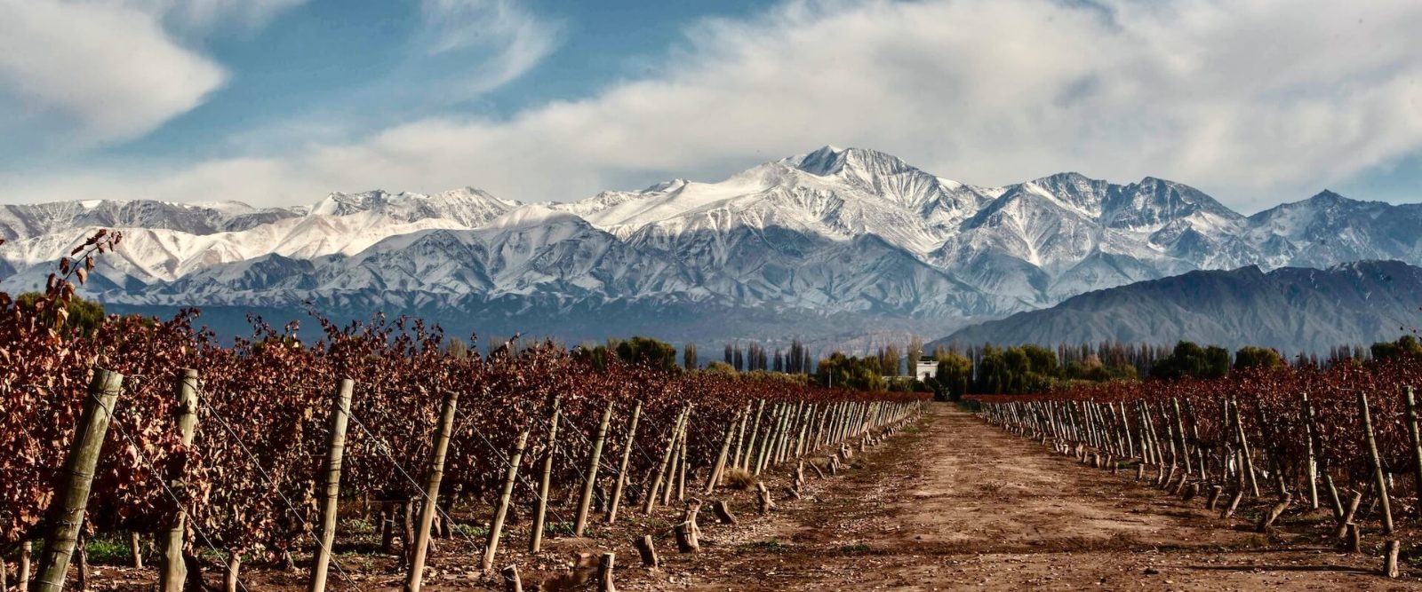 Private Wine Tours in Mendoza Overview
