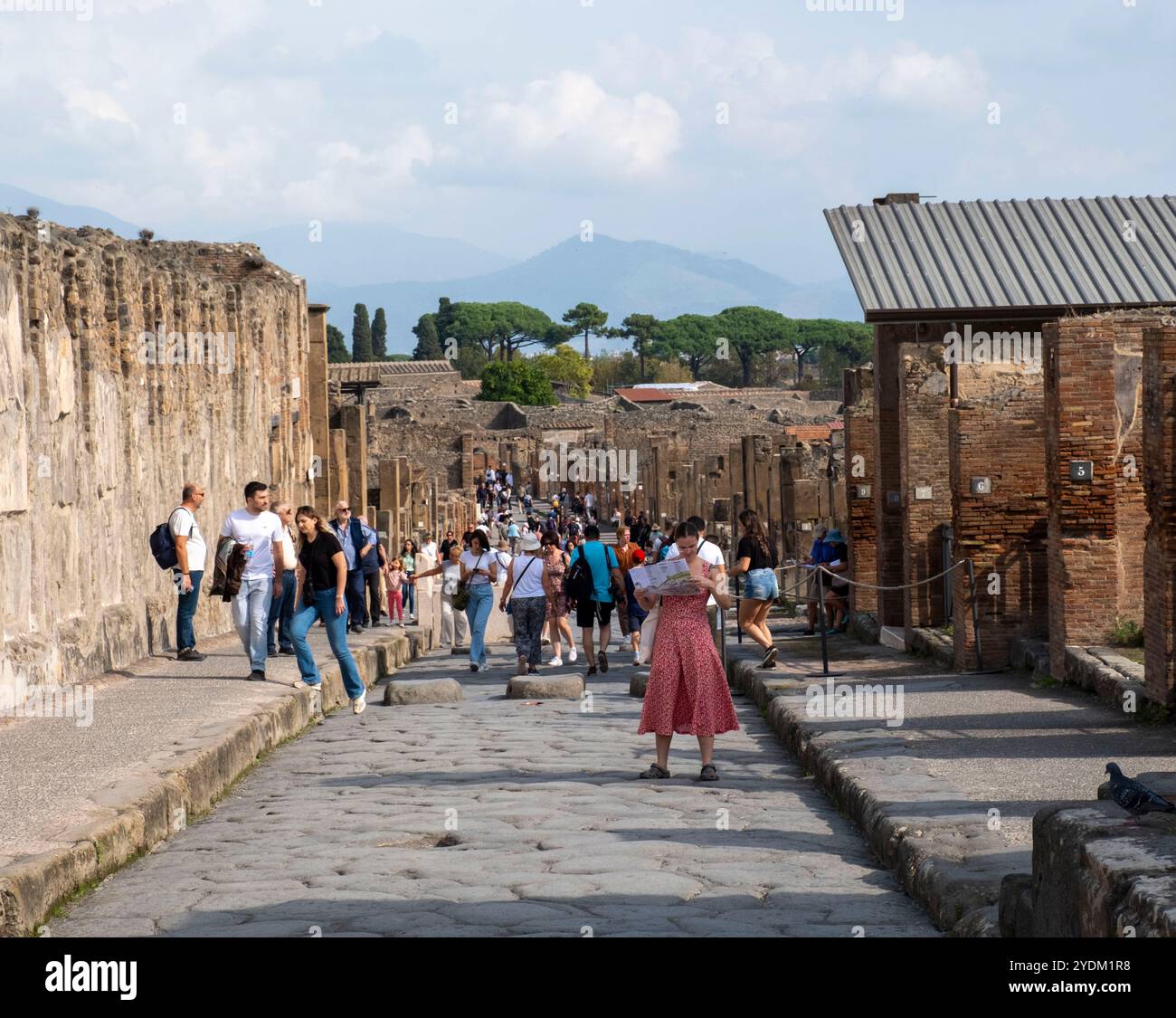Pompeii and Vesuvius Tickets
