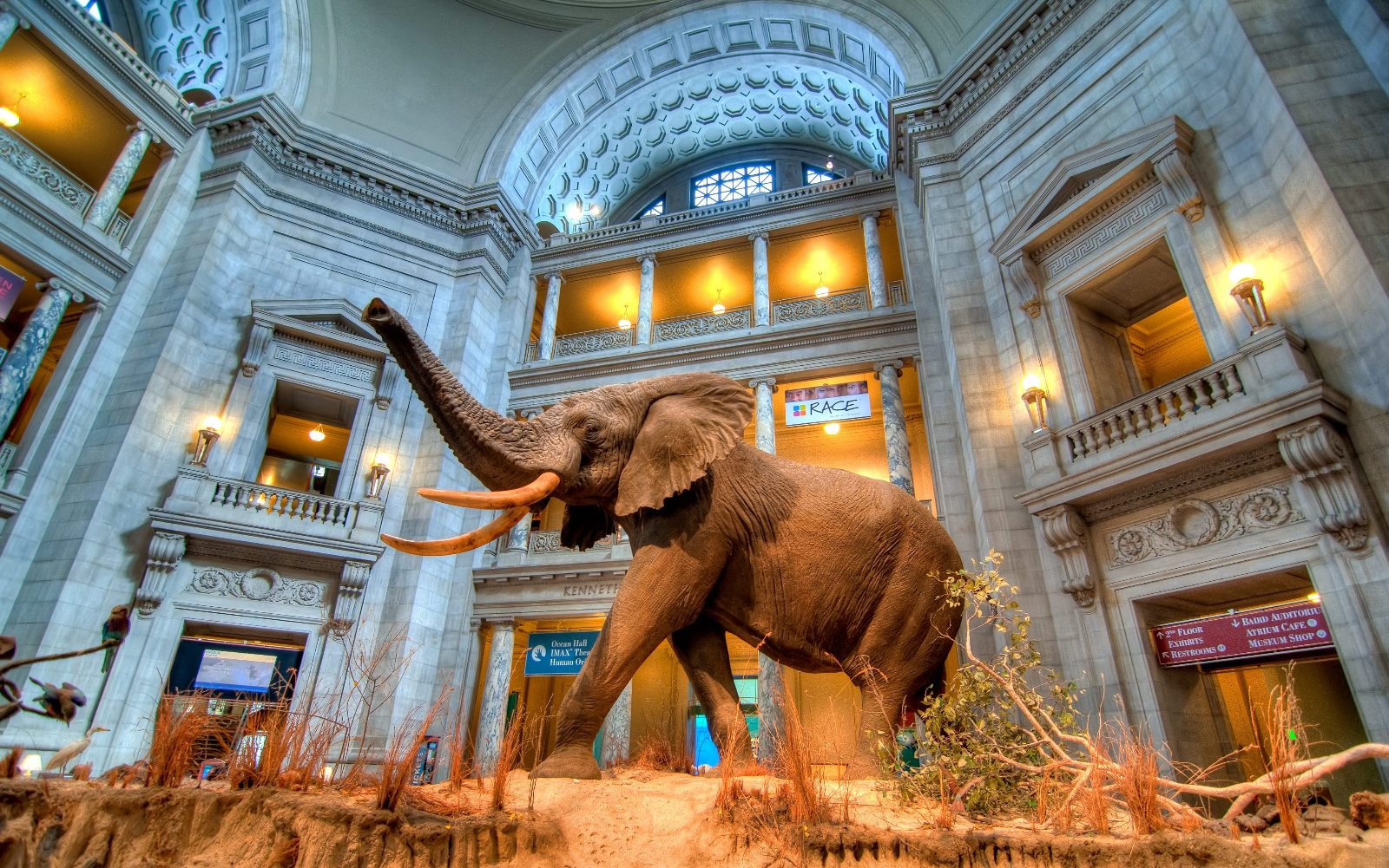 Smithsonian National Museum of Natural History