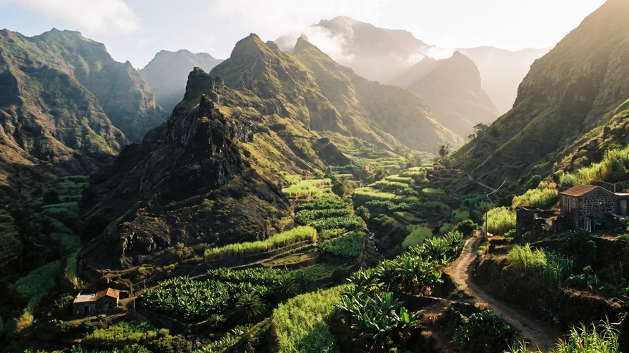 Banana Plantation Tour Tenerife at Finca Las Margaritas