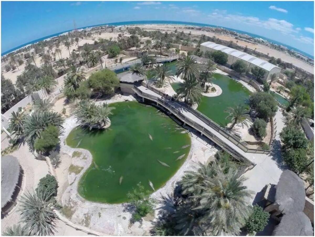 Visit Djerba Crocodile Farm at Explore Park