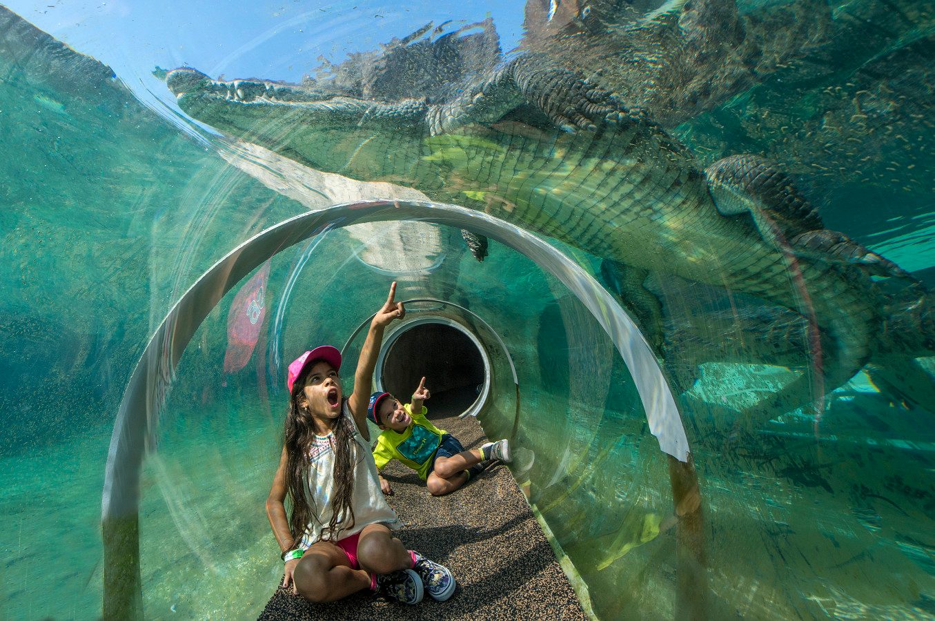 Your experience at Djerba Crocodile Farm