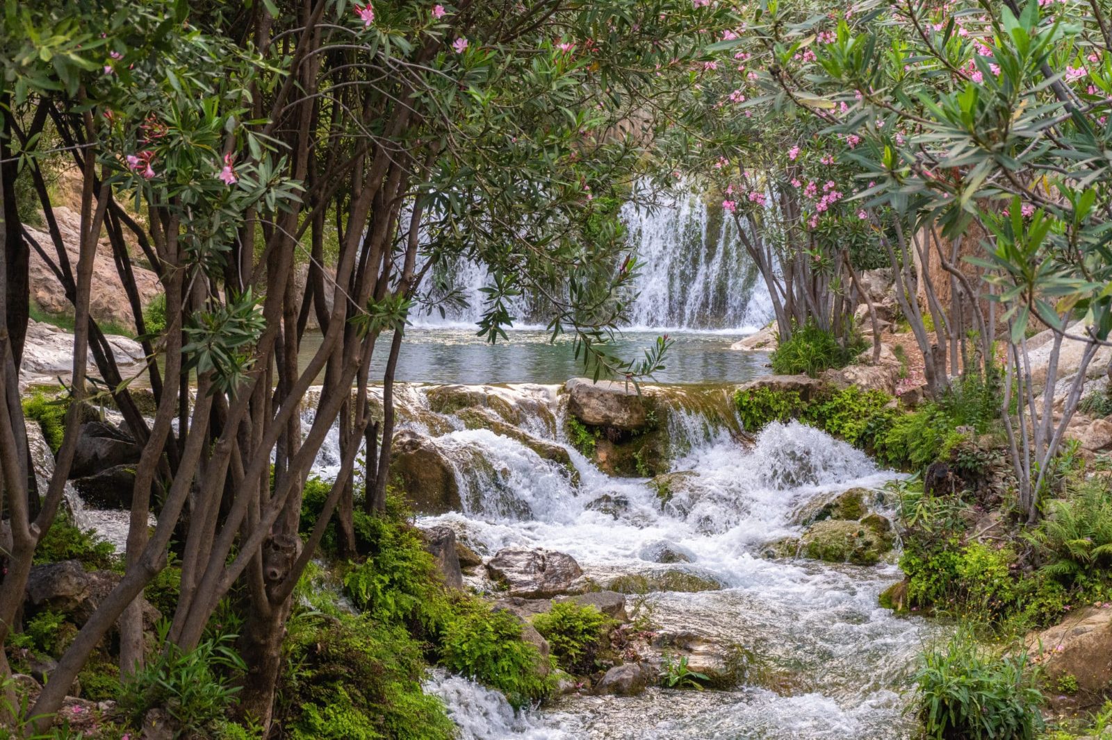 Algar River Trails
