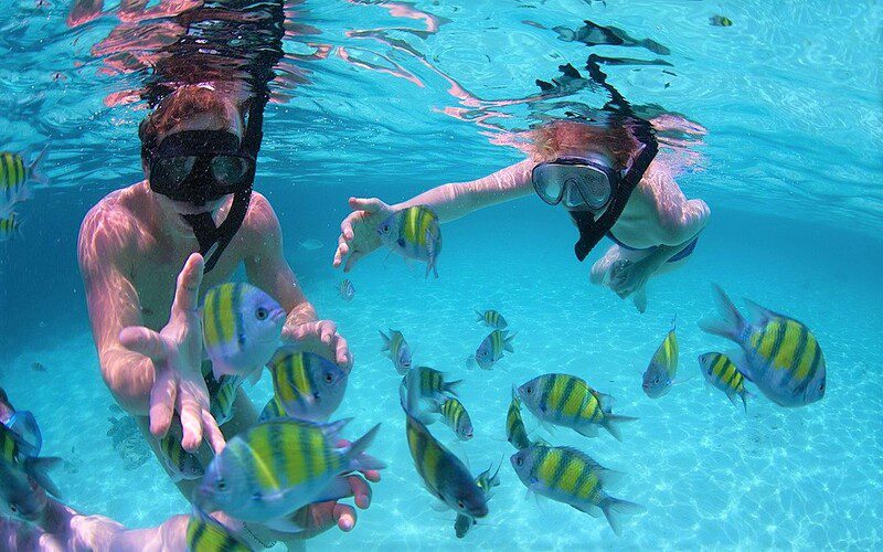 Your experience at Ang Thong Private Boat Tour