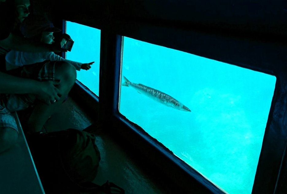 Glass Bottom Boat Menorca Marine Exploration