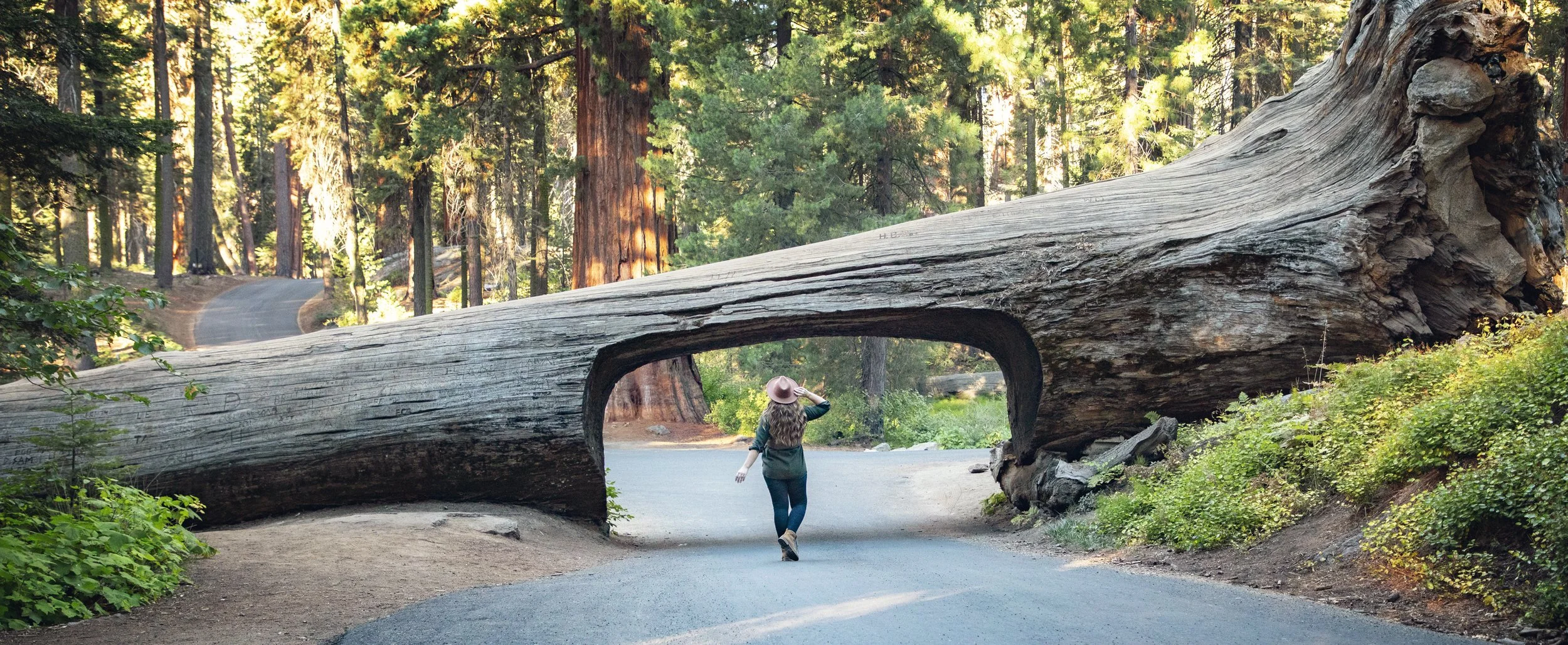 Tunnel Log