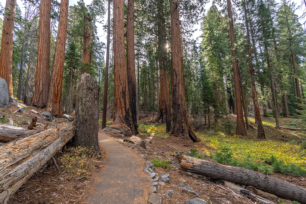 Congress Trail